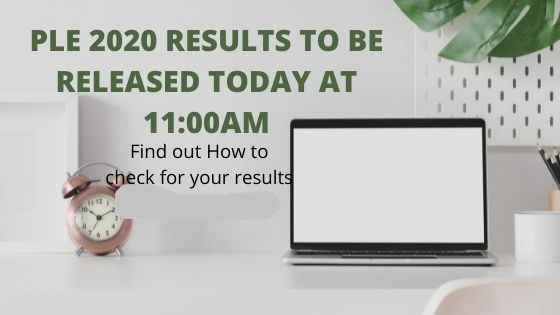 PLE 2020 RESULTS TO BE RELEASED TODAY AT 11:00AM … Find out how to check for your results.