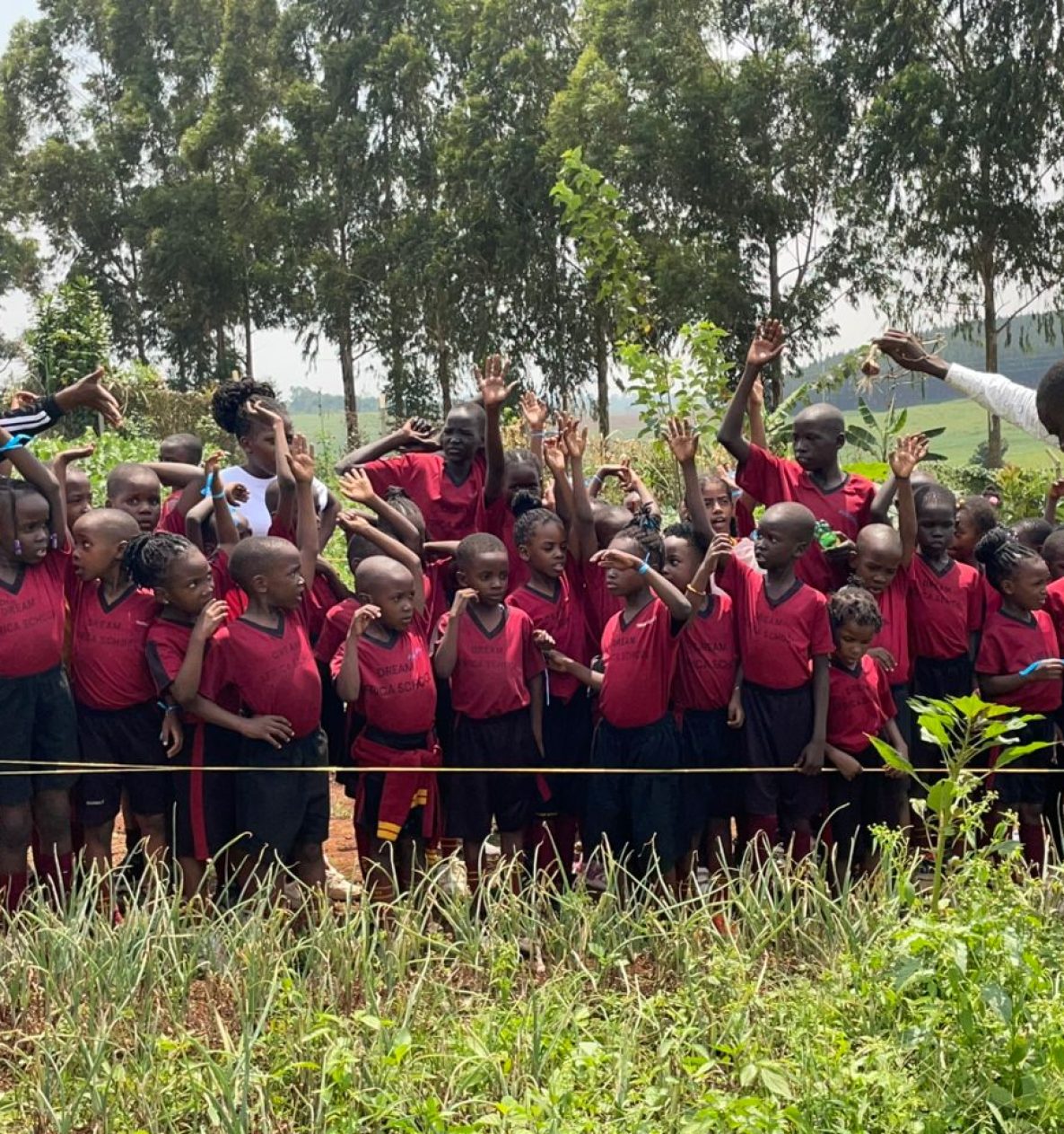 Daycare, Nursery, Primary Schools Dream Africa Schools Located in Seeta and Mbalwa Uganda