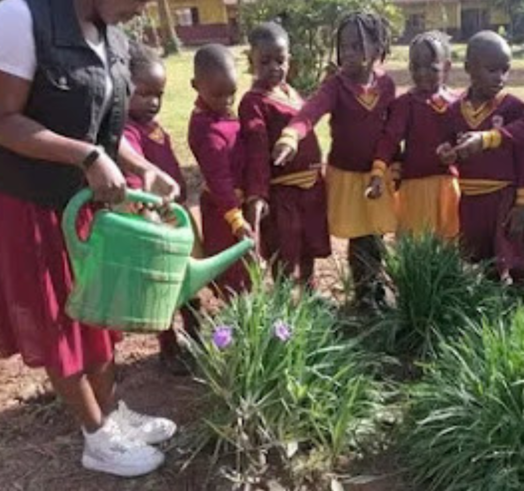 Daycare, Nursery, Primary Schools Dream Africa Schools Located in Seeta and Mbalwa Uganda